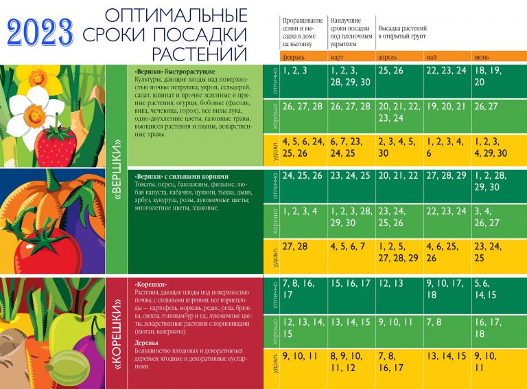 Рынок садовод план схема рядов по номерам