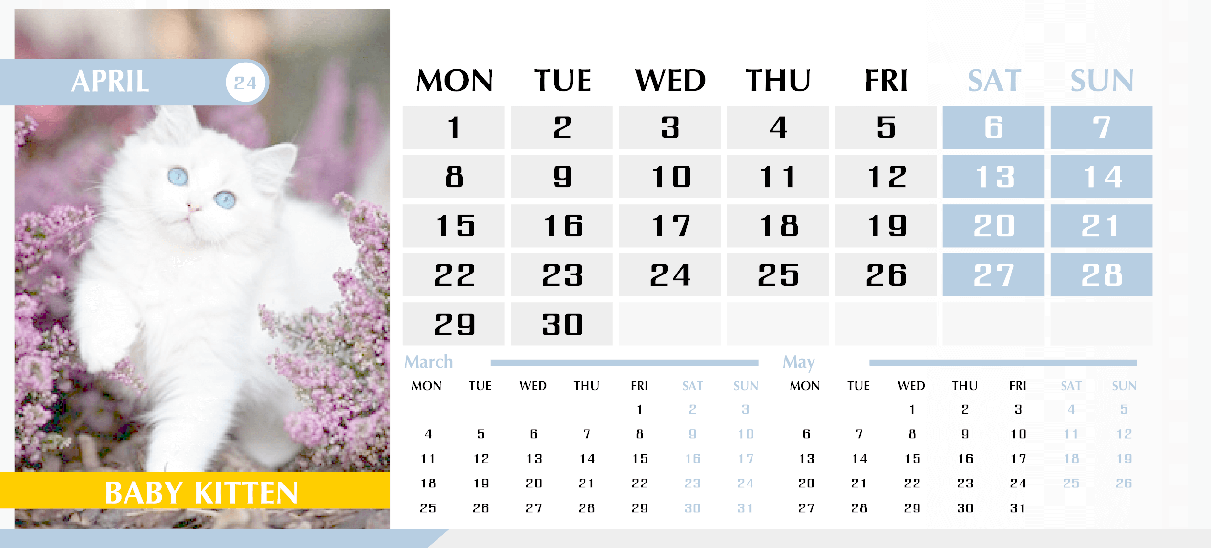Календарь с котиками на Апрель 2024 — English