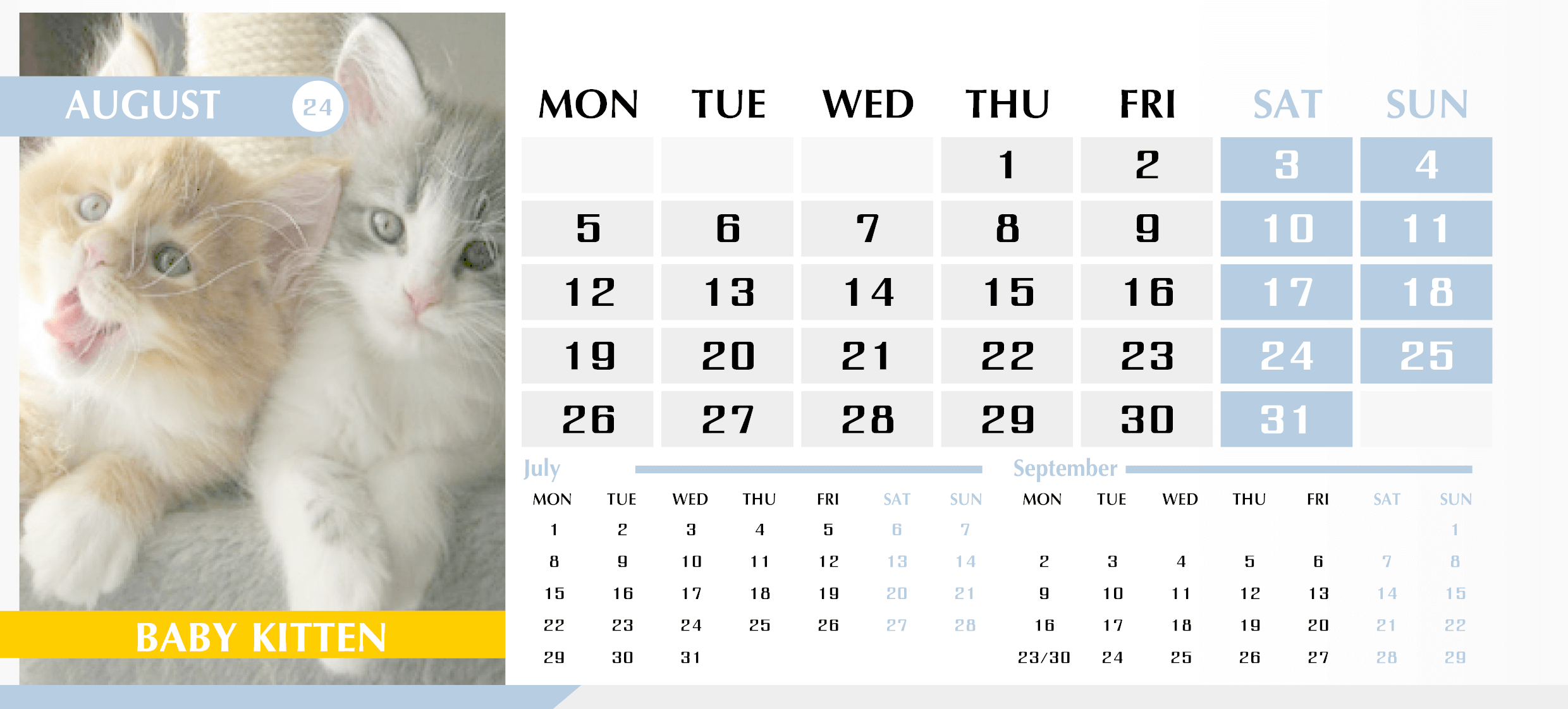 Календарь с котиками на Август 2024 — English