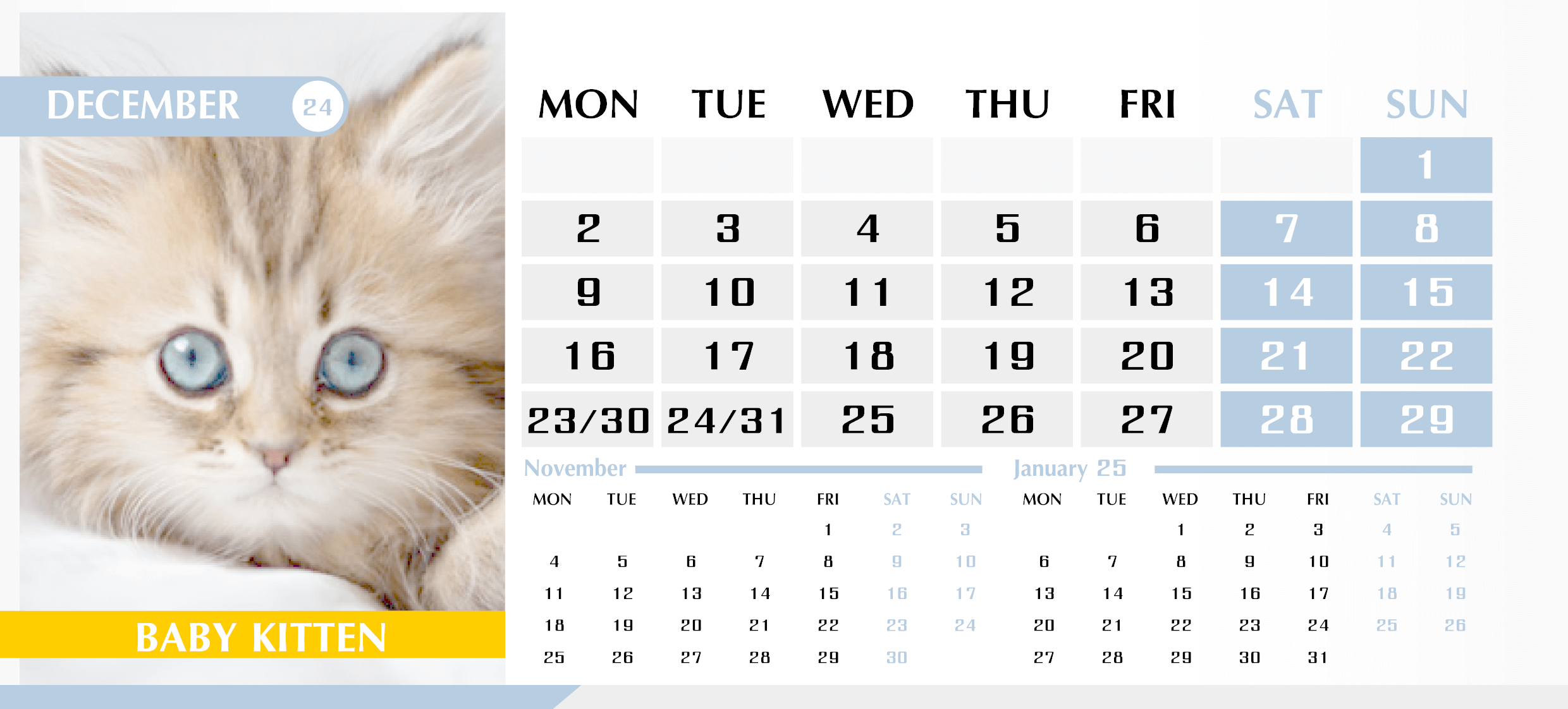 Календарь с котиками на Декабрь 2024 — English