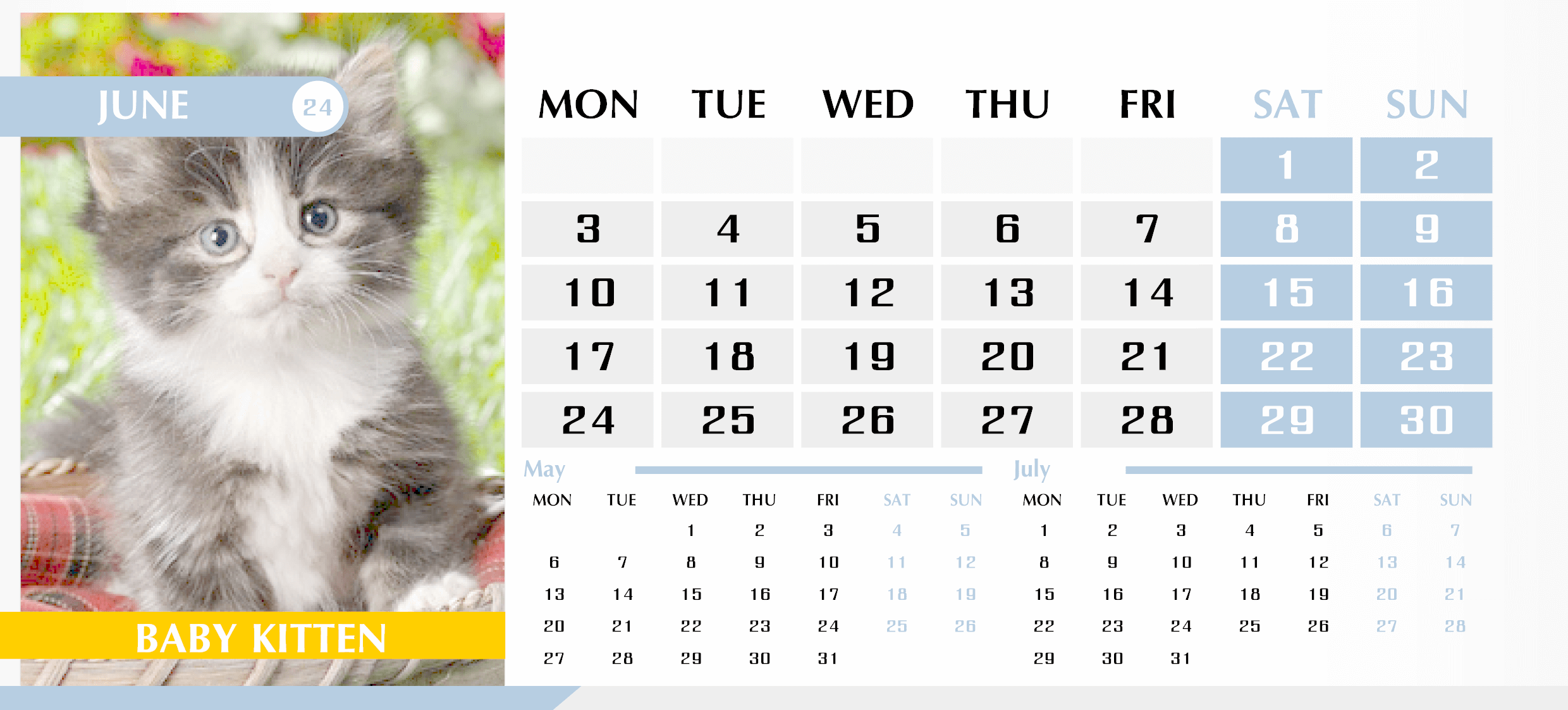 Календарь с котиками на Июнь 2024 — English