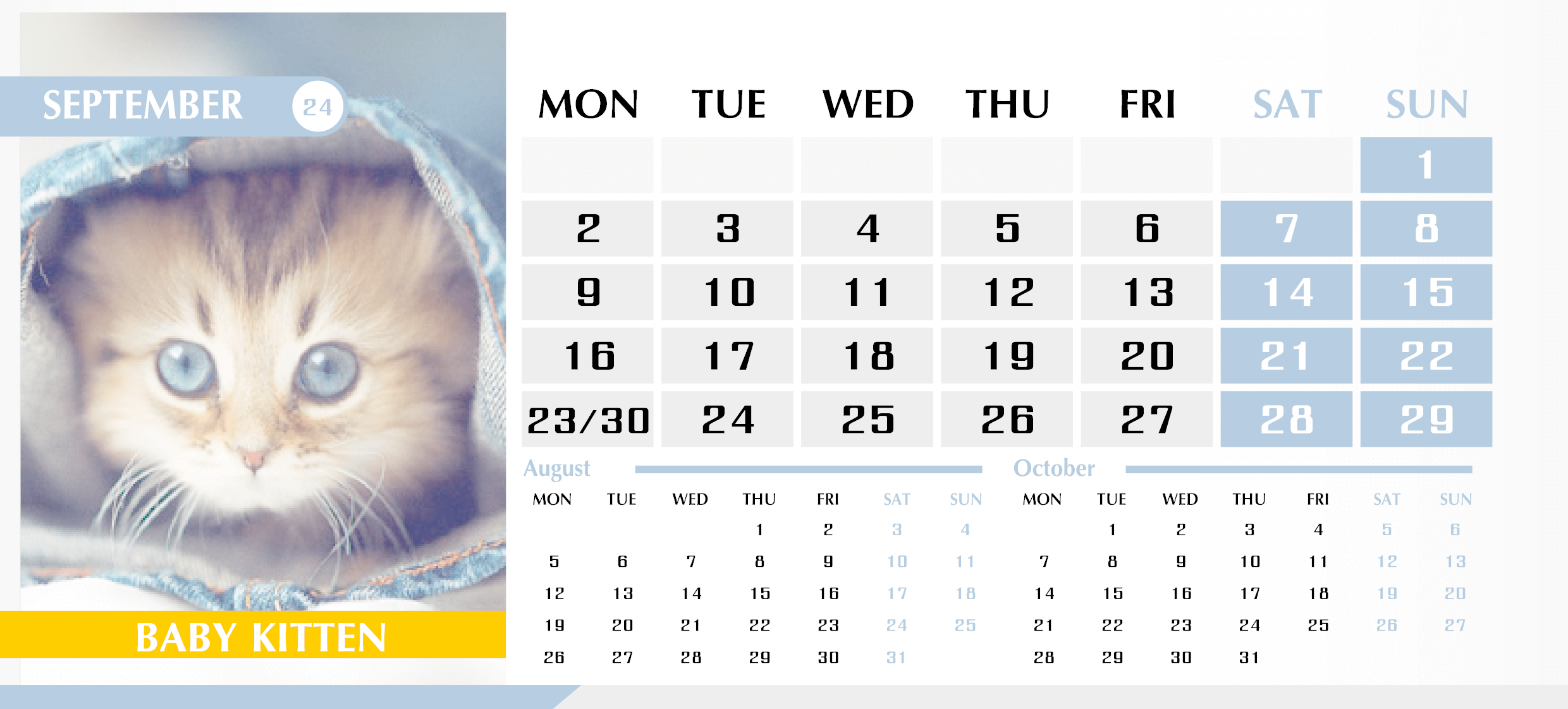 Календарь с котиками на Сентябрь 2024 — English