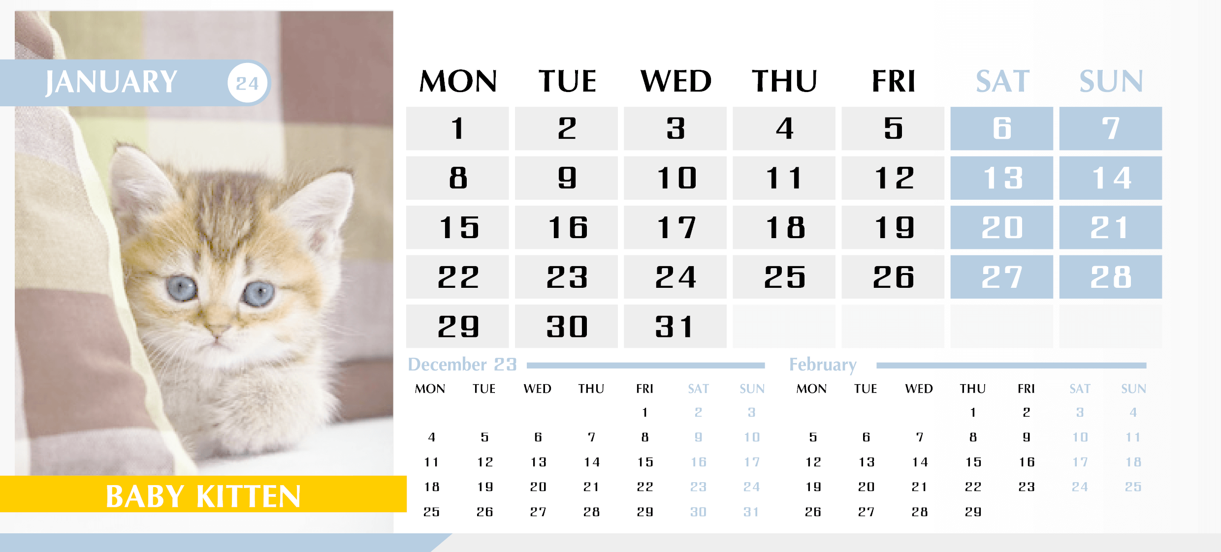 Календарь с котиками на Январь 2024 — English