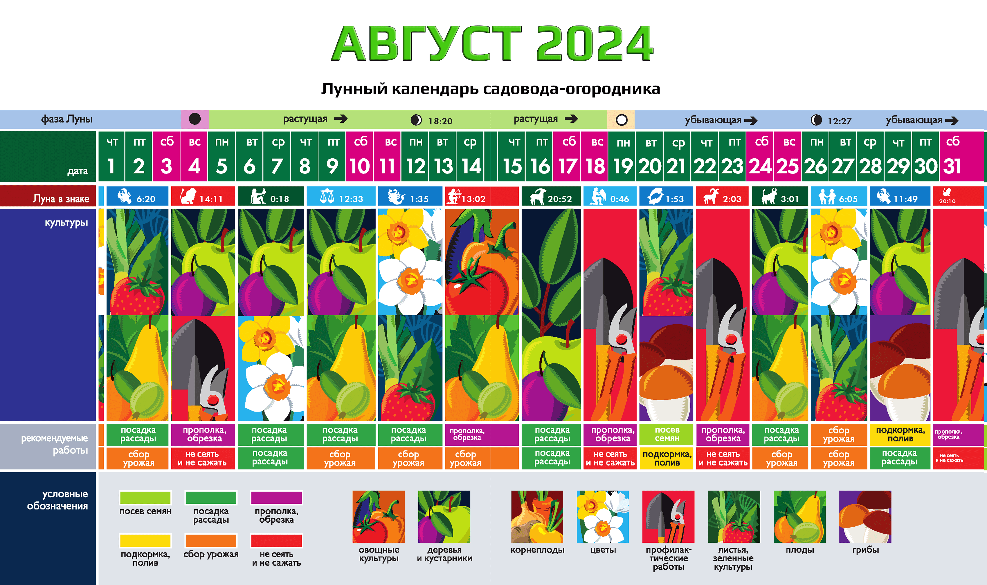 Календарь садовода-огородника на АВГУСТ 2024