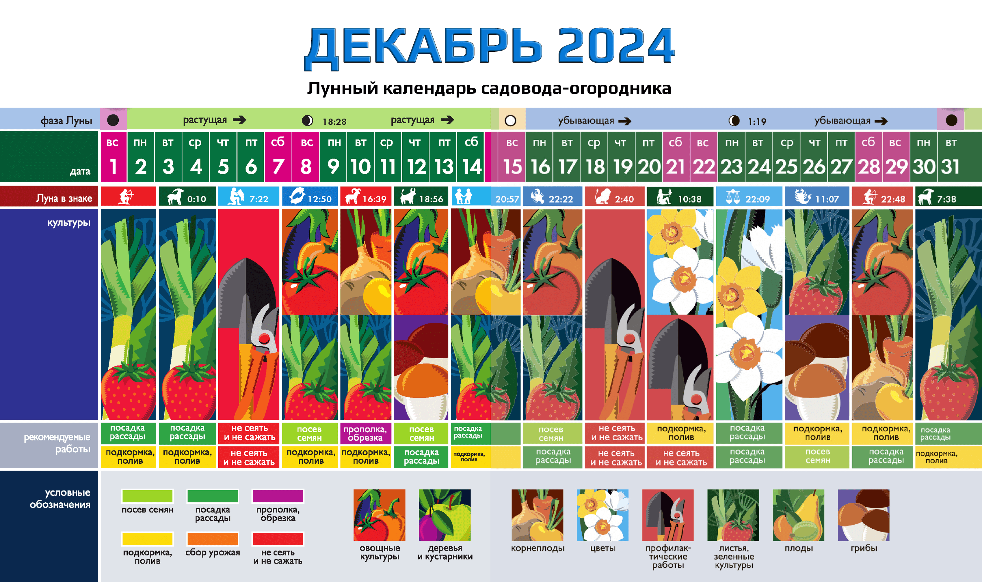 Календарь садовода-огородника на ДЕКАБРЬ 2024