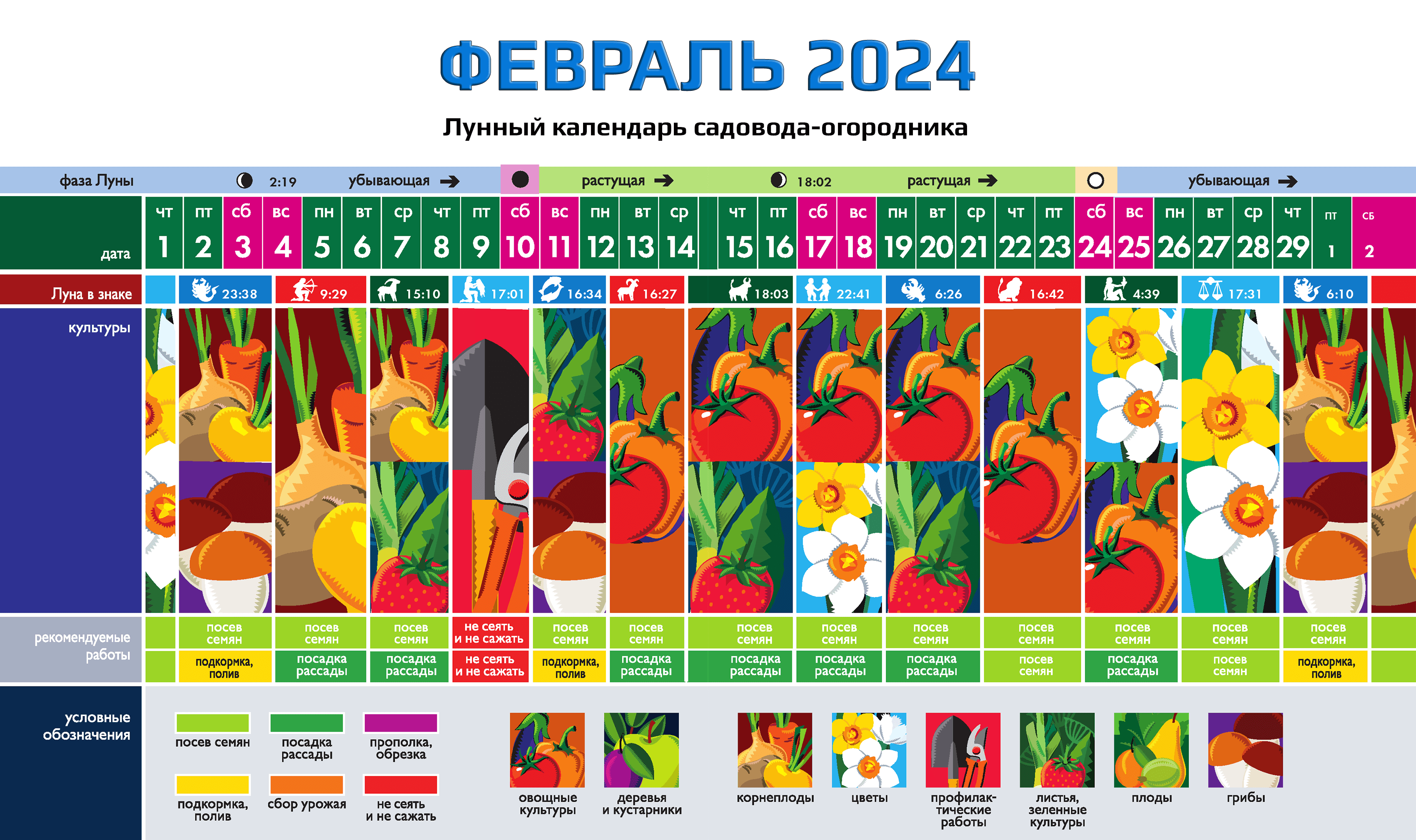 Календарь садовода-огородника на ФЕВРАЛЬ 2024