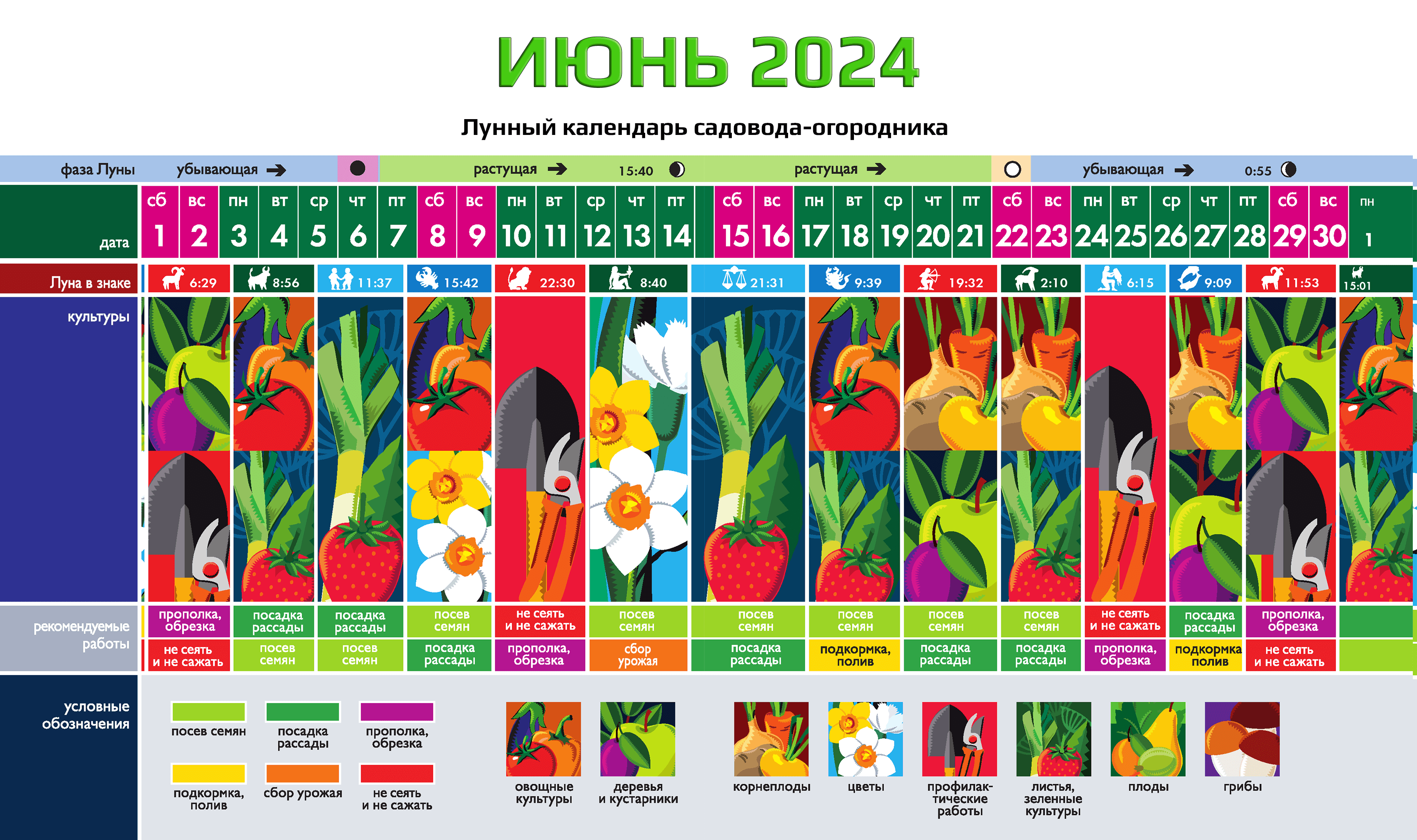 Календарь садовода-огородника на ИЮНЬ 2024