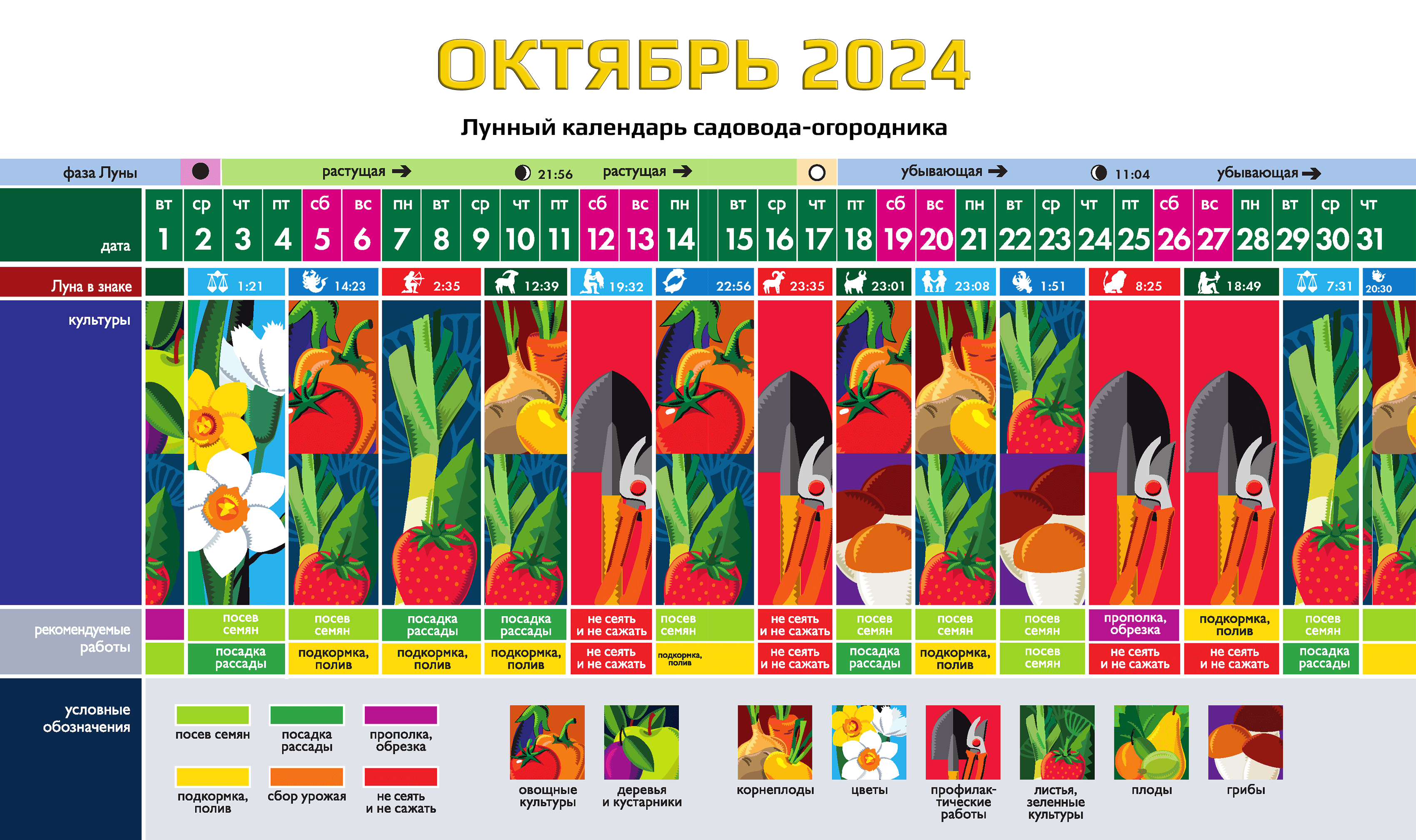 Календарь садовода-огородника на ОКТЯБРЬ 2024м