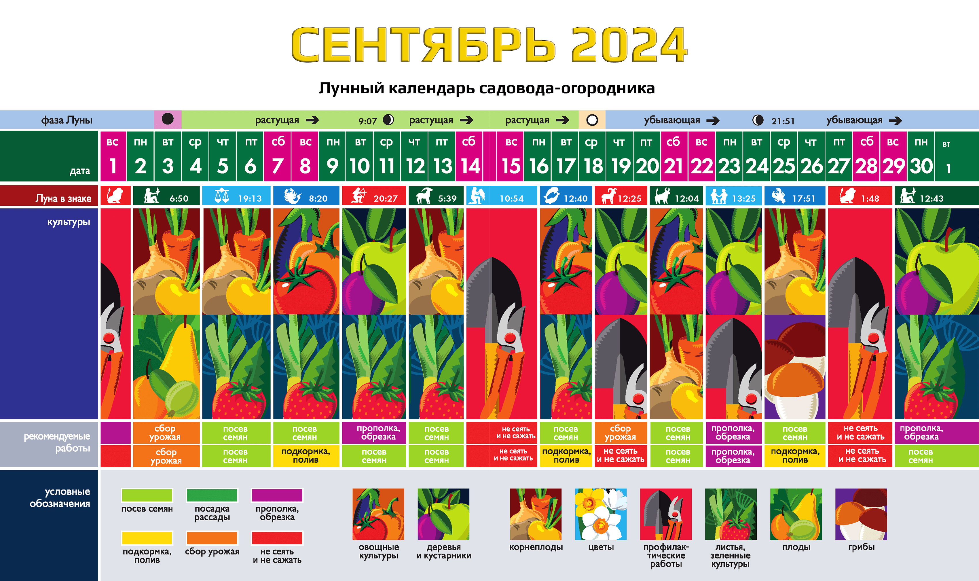 Календарь садовода-огородника на СЕНТЯБРЬ 2024