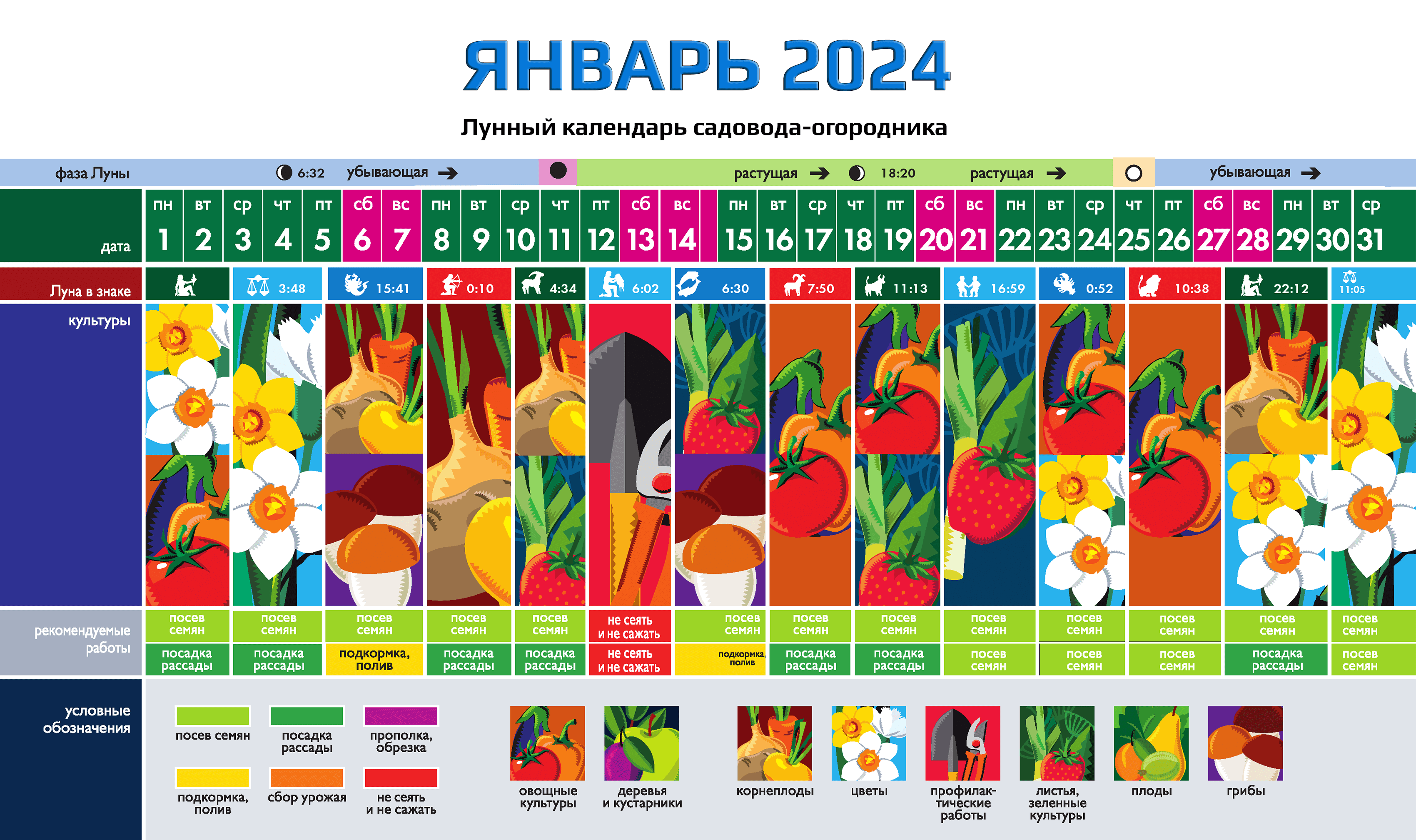 Календарь садовода-огородника на ЯНВАРЬ 2024